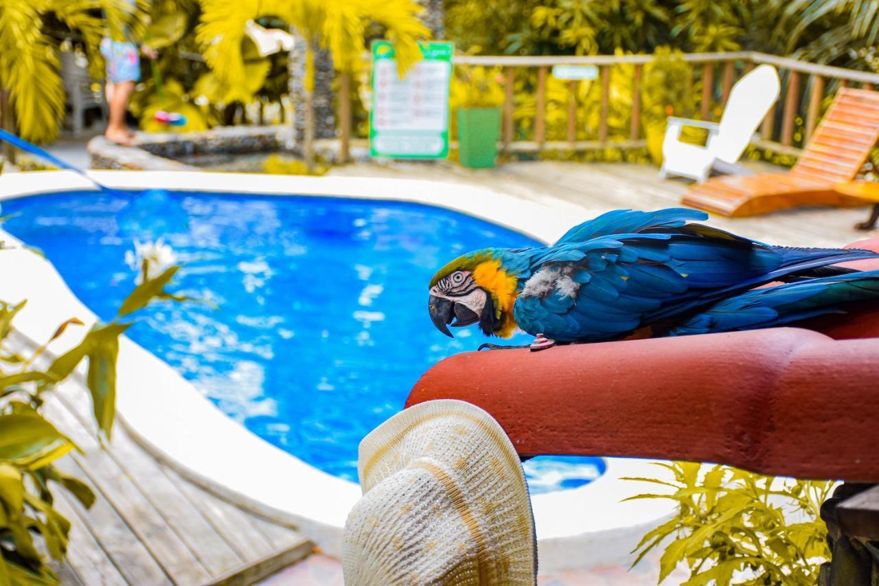 Casa Hostal Villa Del Rio El Zaino Esterno foto
